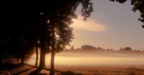 História da Igreja: A Jornada do Cristianismo Através dos Séculos