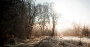 Prática de Pregação: Aperfeiçoando a Arte da Homilética