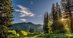 Aconselhamento Cristão: Princípios e Práticas do Cuidado Pastoral