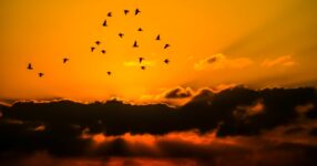 Liderança Cristã: Princípios Bíblicos para Servir e Influenciar