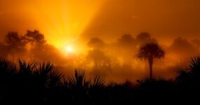 Poimênica: A Arte do Cuidado Pastoral