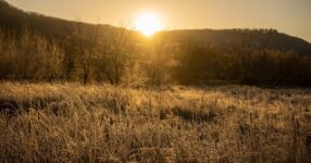 Constituição e Ordem: Princípios de Governo Eclesiástico