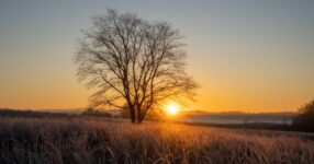 Soteriologia: A Doutrina da Salvação em Cristo