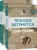 Teologia Sistemática – Frame 2 Volumes