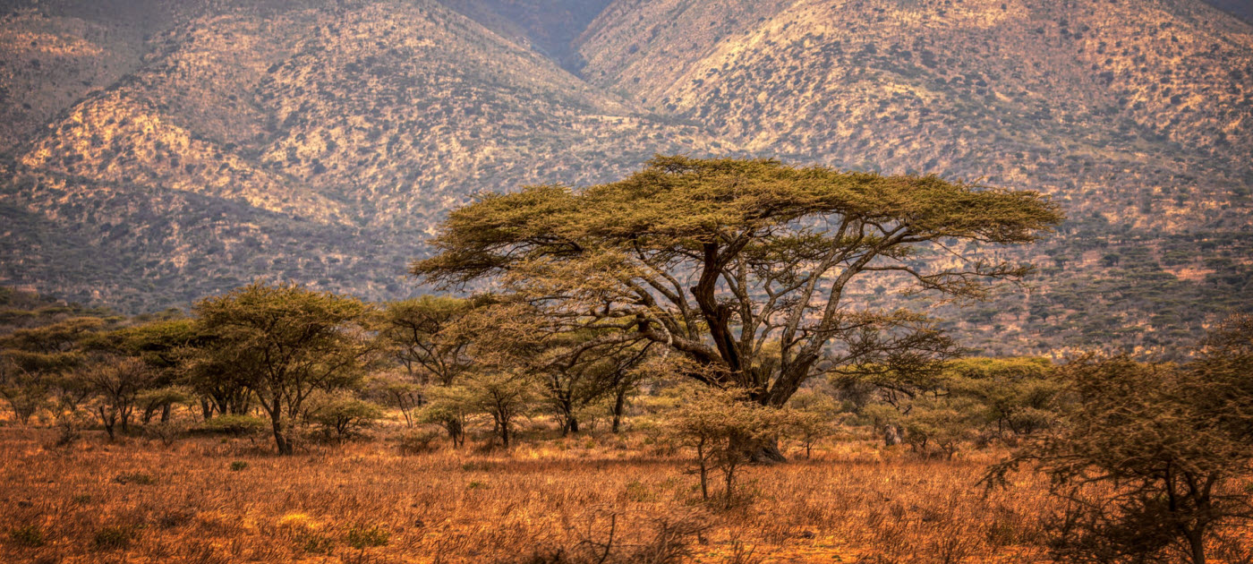 Introdução à Teologia