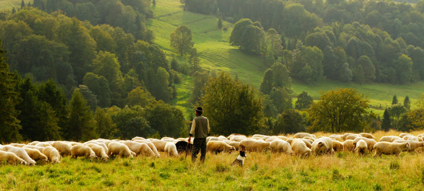 A Segurança da Salvação