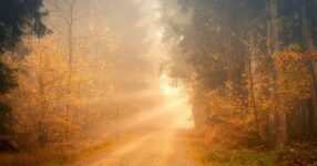 Oração Intercessória