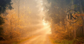 Oração Intercessória