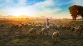 Introdução ao Salmo 23: O Cântico de Conforto e Confiança do Pastor