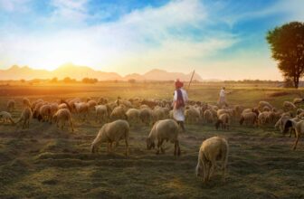 Introdução ao Salmo 23: O Cântico de Conforto e Confiança do Pastor