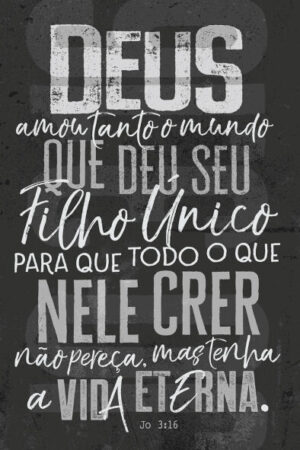 Bíblia NVT João 3.16 Chumbo (Letra Normal)