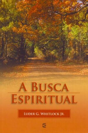 A Busca Espiritual