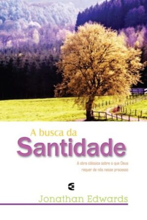 A Busca da Santidade