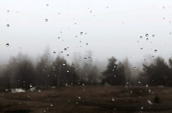 Prática de Ensino: Desenvolvendo Habilidades Pedagógicas