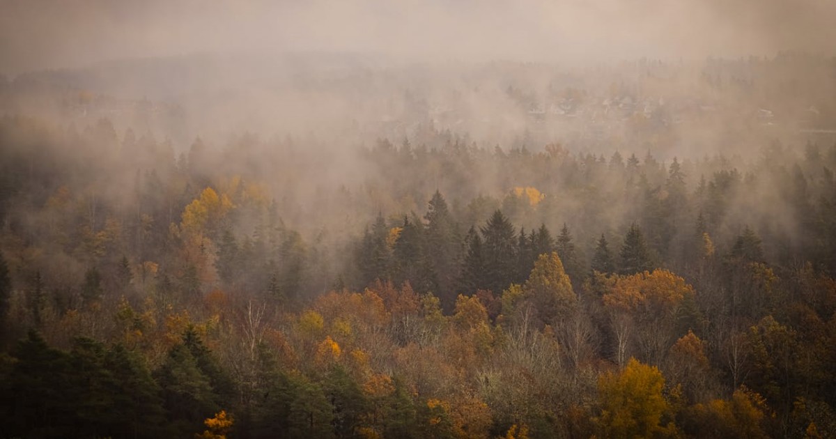 Eclesiologia: A Doutrina da Igreja de Cristo