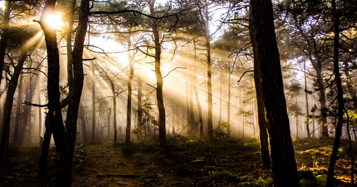 Educação Cristã: Formação Integral de Discípulos