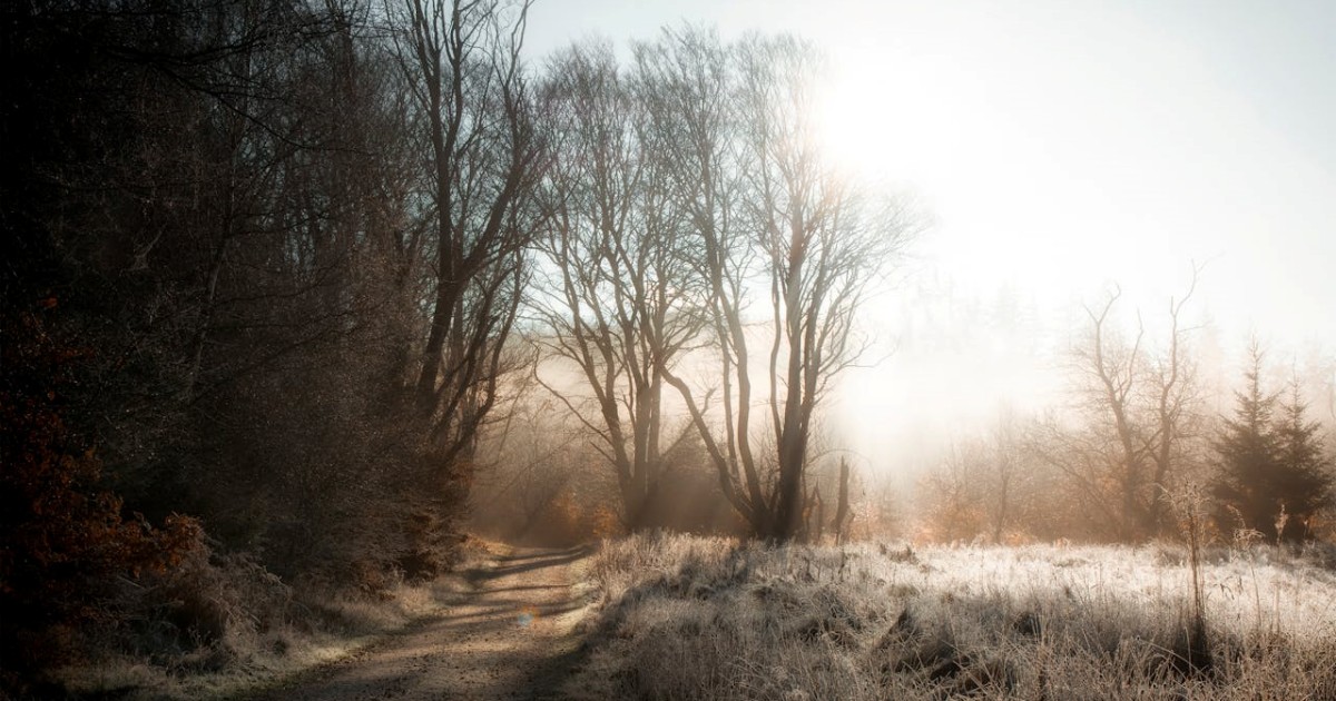 Prática de Ensino: Desenvolvendo Habilidades Pedagógicas
