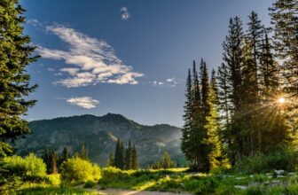 Aconselhamento Cristão: Princípios e Práticas do Cuidado Pastoral