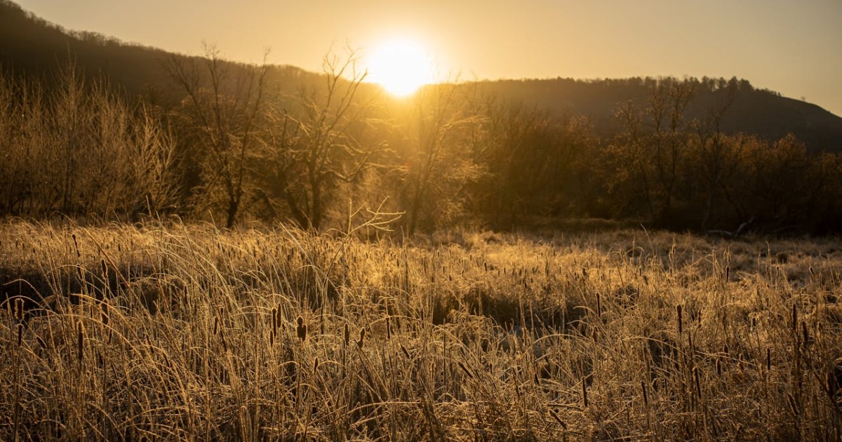 Constituição e Ordem: Princípios de Governo Eclesiástico