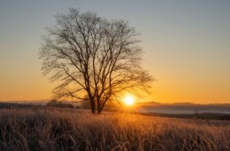Soteriologia: A Doutrina da Salvação em Cristo